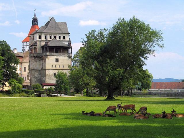 Apartman Podskalska Blatná エクステリア 写真